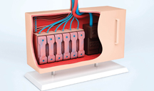 电话在线轰炸测试